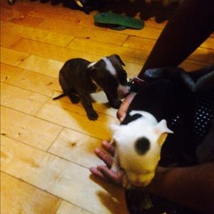 Meet your Posher, Yoel