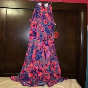 NWT Mossimo Floral Skater Dress