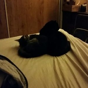 Meet your Posher, Terri