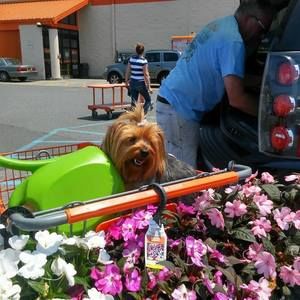 Meet your Posher, Debra