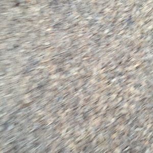 Meet your Posher, Molly