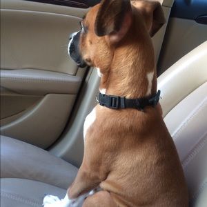 Meet your Posher, Rieco