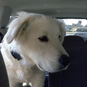 Meet your Posher, Beth