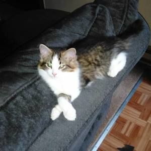 Meet your Posher, Hope