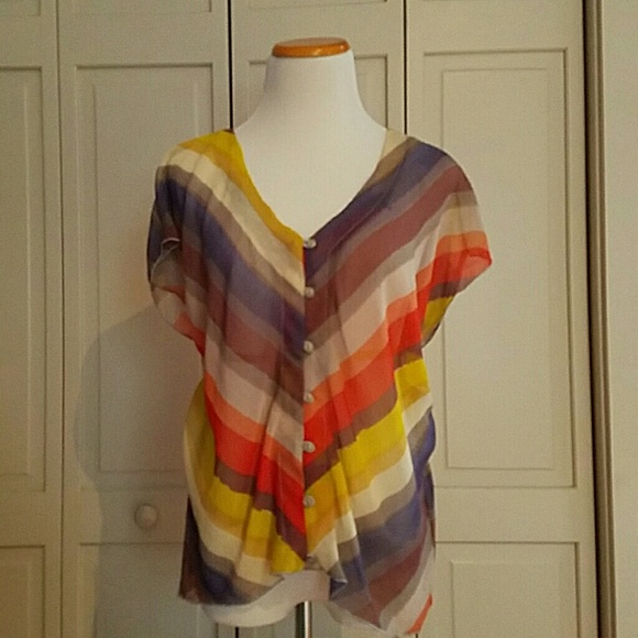 Striped Button Down Sheer Blouse