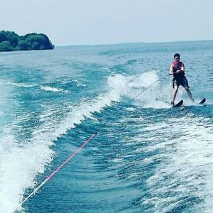 Meet your Posher, Rosella