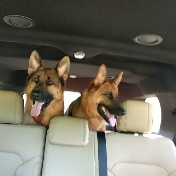 Meet your Posher, Bethany - Picture 1 of 1