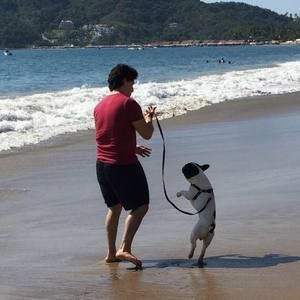 Meet your Posher, Manuel