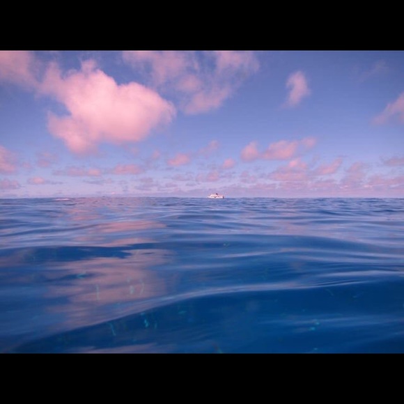 Meet your Posher, Amaris - Picture 1 of 1