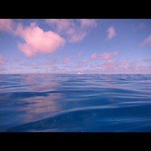 Meet your Posher, Amaris