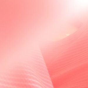 Meet your Posher, Max