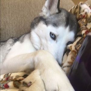 Meet your Posher, Carlyn