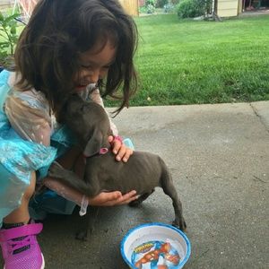 Meet your Posher, Sulyn