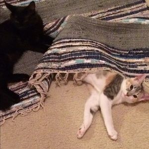 Meet your Posher, Hayley