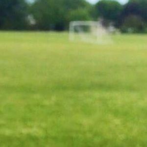 Meet your Posher, Hailey