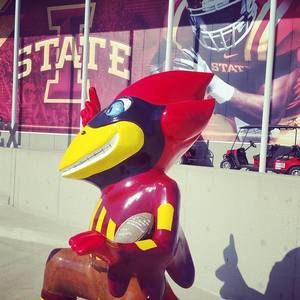 Meet your Posher, Lacey