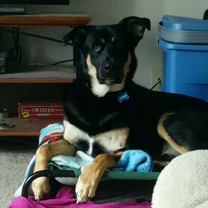 Meet your Posher, Erin