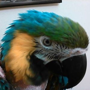 Meet your Posher, Nancy