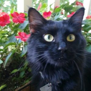 Meet your Posher, Mitzi