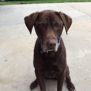 Meet your Posher, Deborah