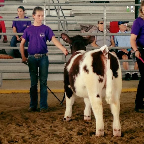 Meet your Posher, Megan