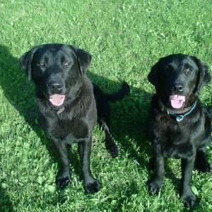 Meet your Posher, Tracey