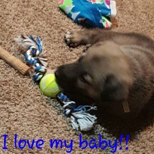 Meet your Posher, Tanaya