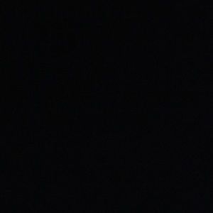 Meet your Posher, Audrey