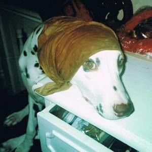 Meet your Posher, Carry