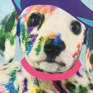 Meet your Posher, Michele