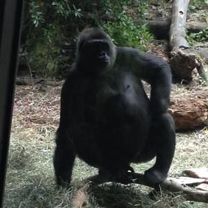 Meet your Posher, Tara