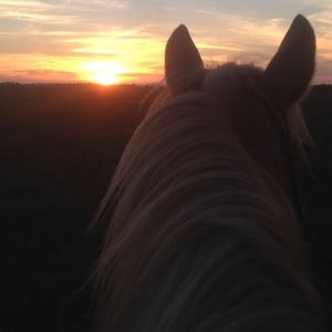 Meet your Posher, Meghan