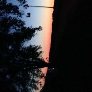 Meet your Posher, Baylie