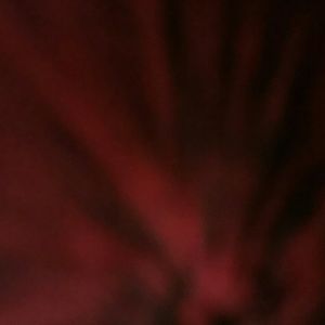 Meet your Posher, Rayvon