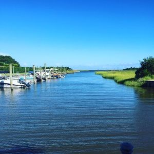 Meet your Posher, Holly