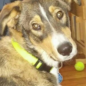 Meet your Posher, Melanie