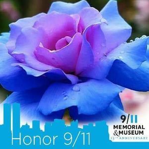 Meet your Posher, Leona