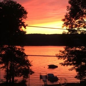 Meet your Posher, Rosa