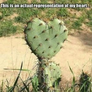 Meet your Posher, Shelly