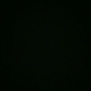 Meet your Posher, Shannah