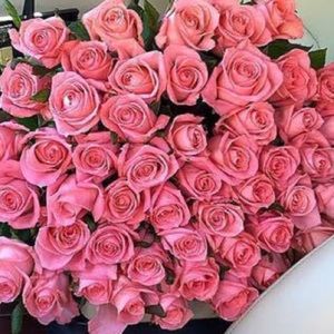 Meet your Posher, Damaris