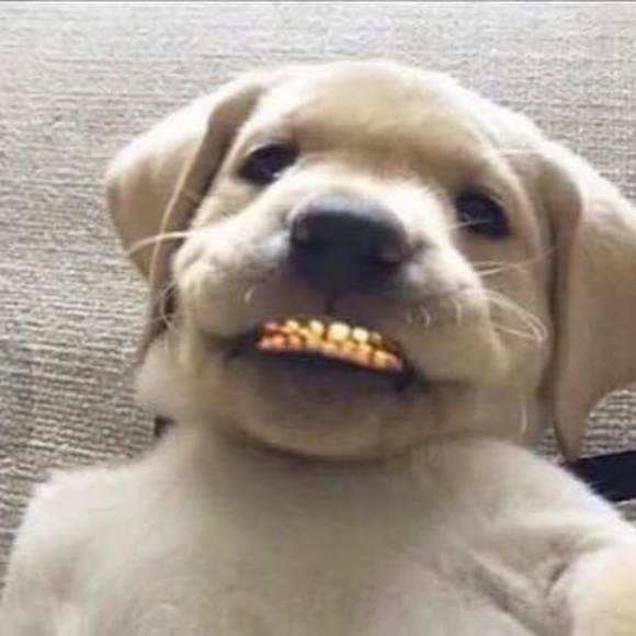 Meet your Posher, Montez