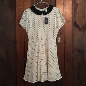 Forever 21 collared polka dot skater dress