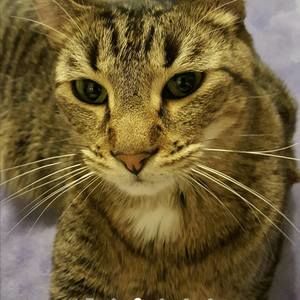 Meet your Posher, Lauralea