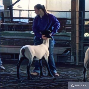 Meet your Posher, Whitney