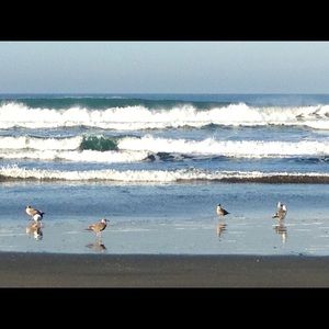 Meet your Posher, Margo