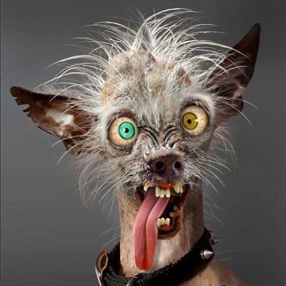 Meet your Posher, Camishe