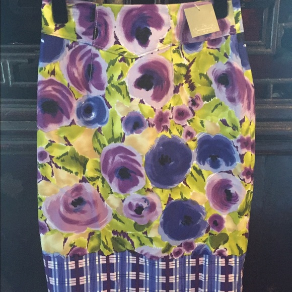 Anthropologie Beautiful Skirt - Size 2