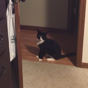 Meet your Posher, Jonelle