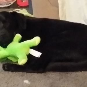 Meet your Posher, Lori